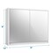 White MDF Double Mirrored Wall Cabinet with Hidden Storage and Modern Design